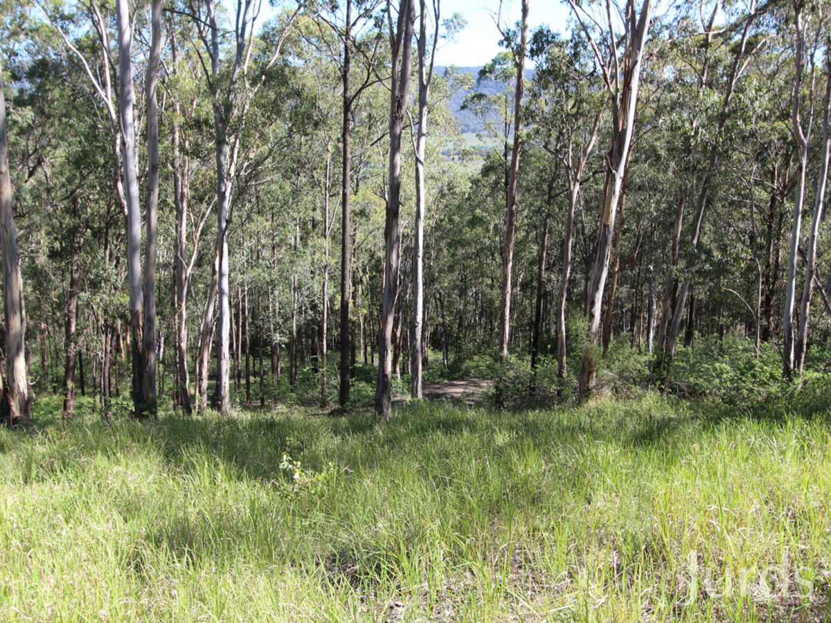 135 Mount Baker Road, Millfield, Millfield - Thumbnail 6