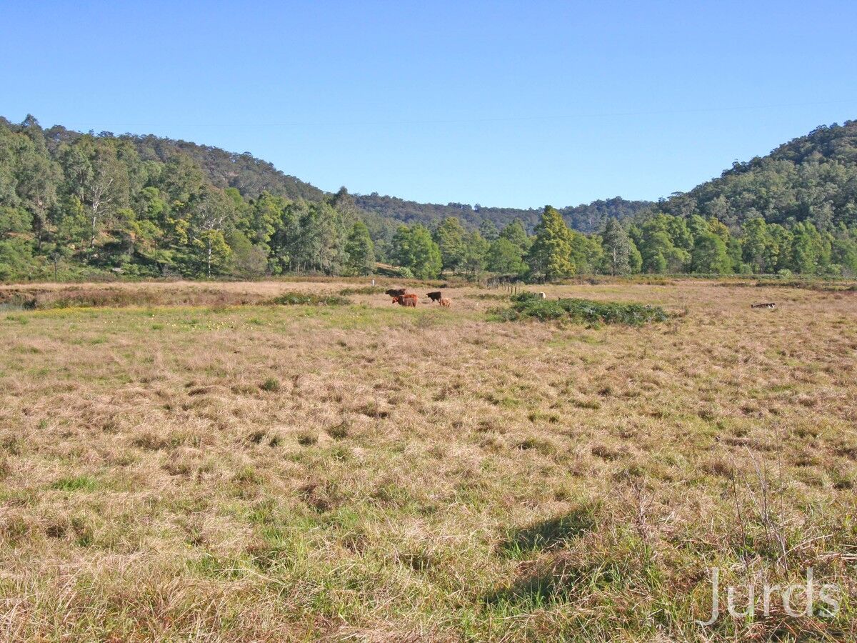 983 Murrays Run Road, Laguna, Laguna - Thumbnail 4
