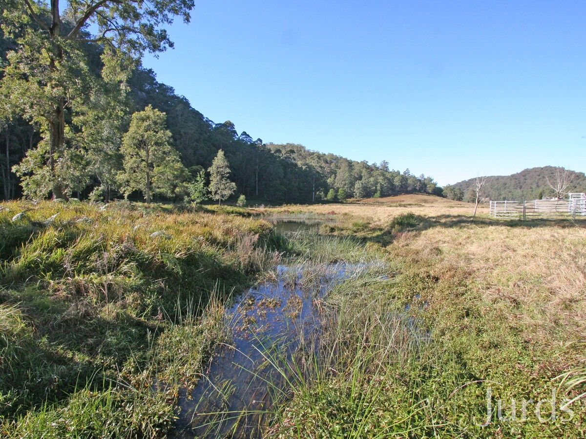 983 Murrays Run Road, Laguna, Laguna - Thumbnail 6