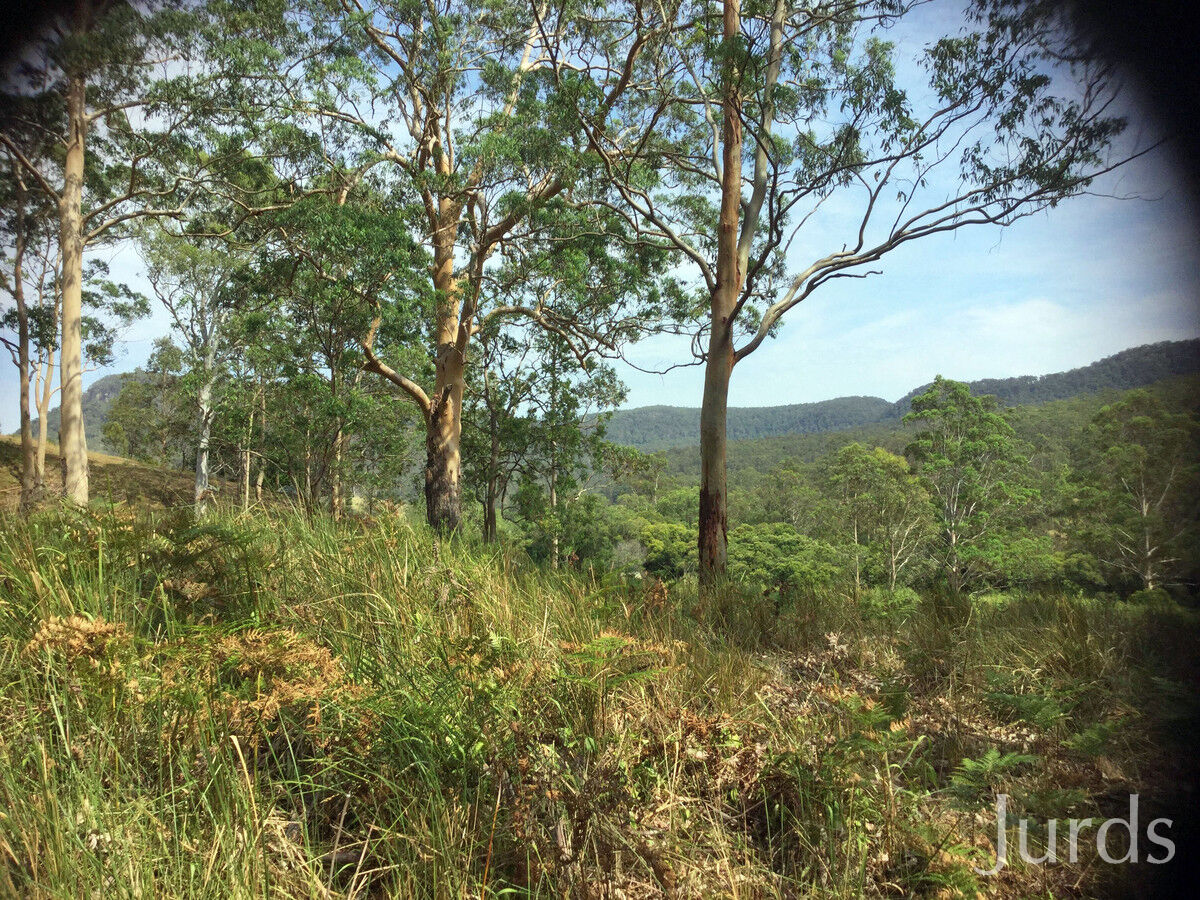 1646 Congewai Road, Congewai, Congewai - Thumbnail 2