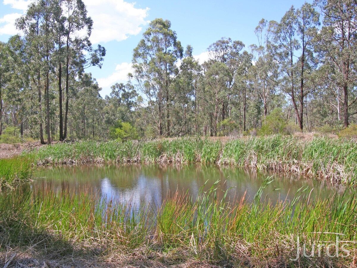 Lot 12 Lodge Road, Lovedale, Lovedale - Thumbnail 3