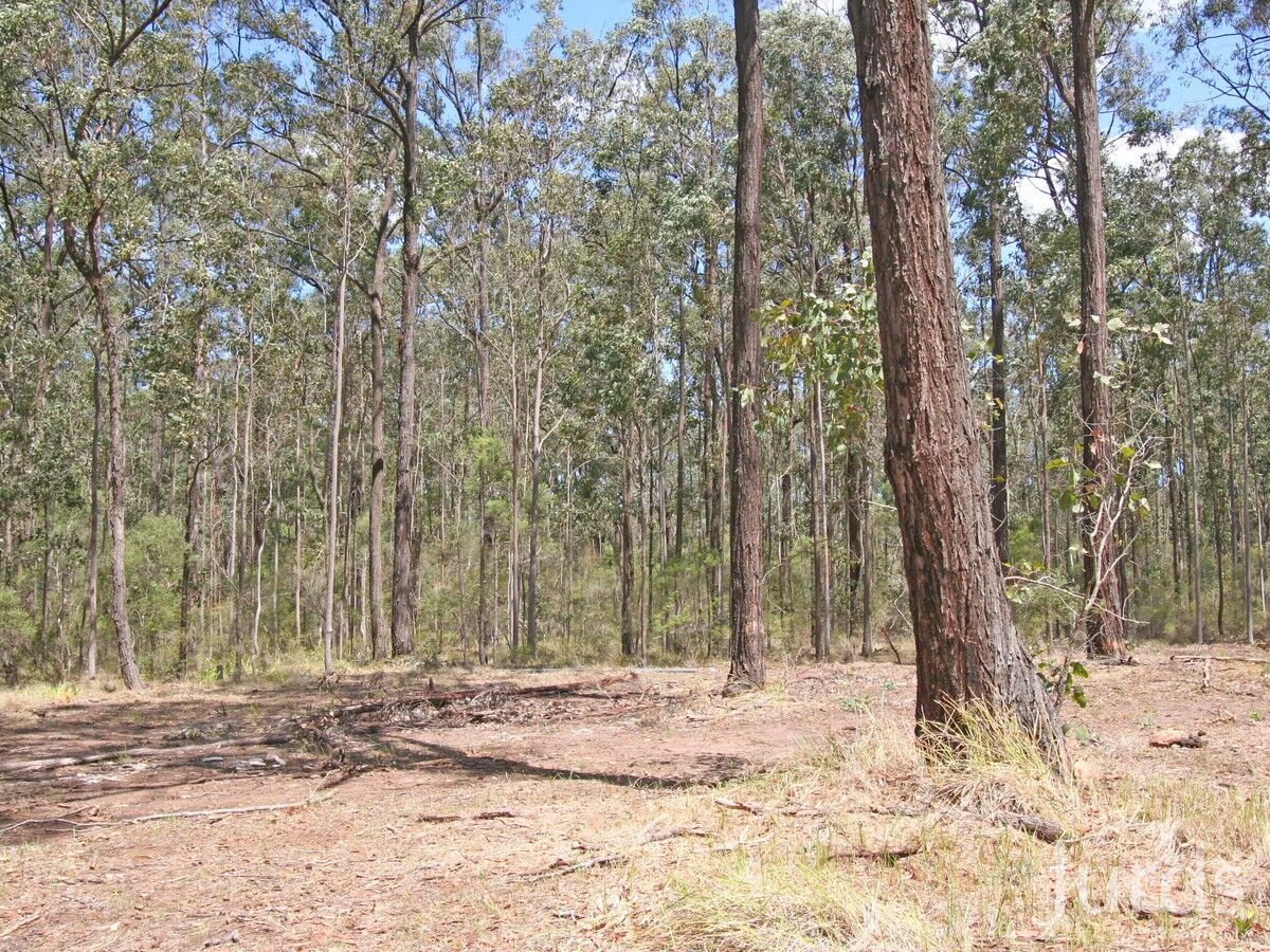 Lot 12 Lodge Road, Lovedale, Lovedale - Thumbnail 2