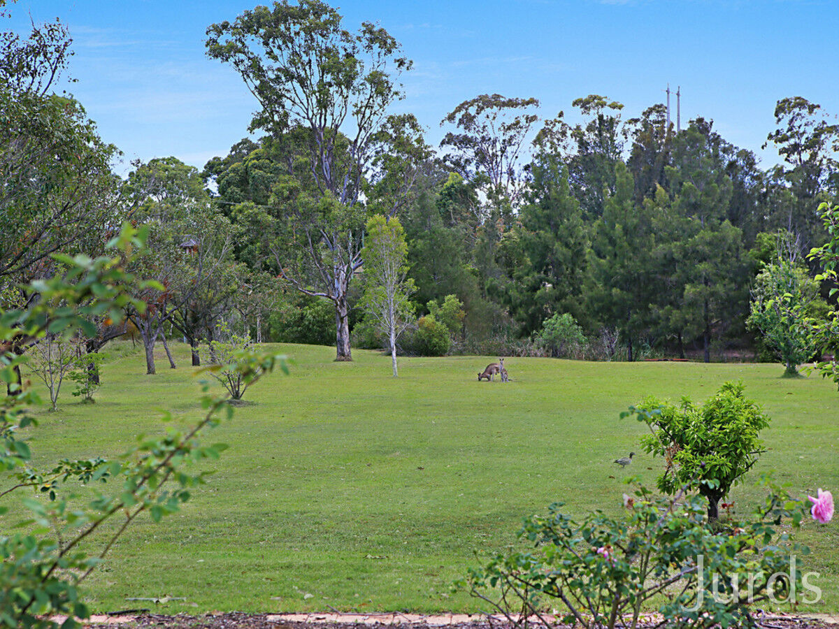 74 Wilderness Road, LOVEDALE, Lovedale - Thumbnail 8