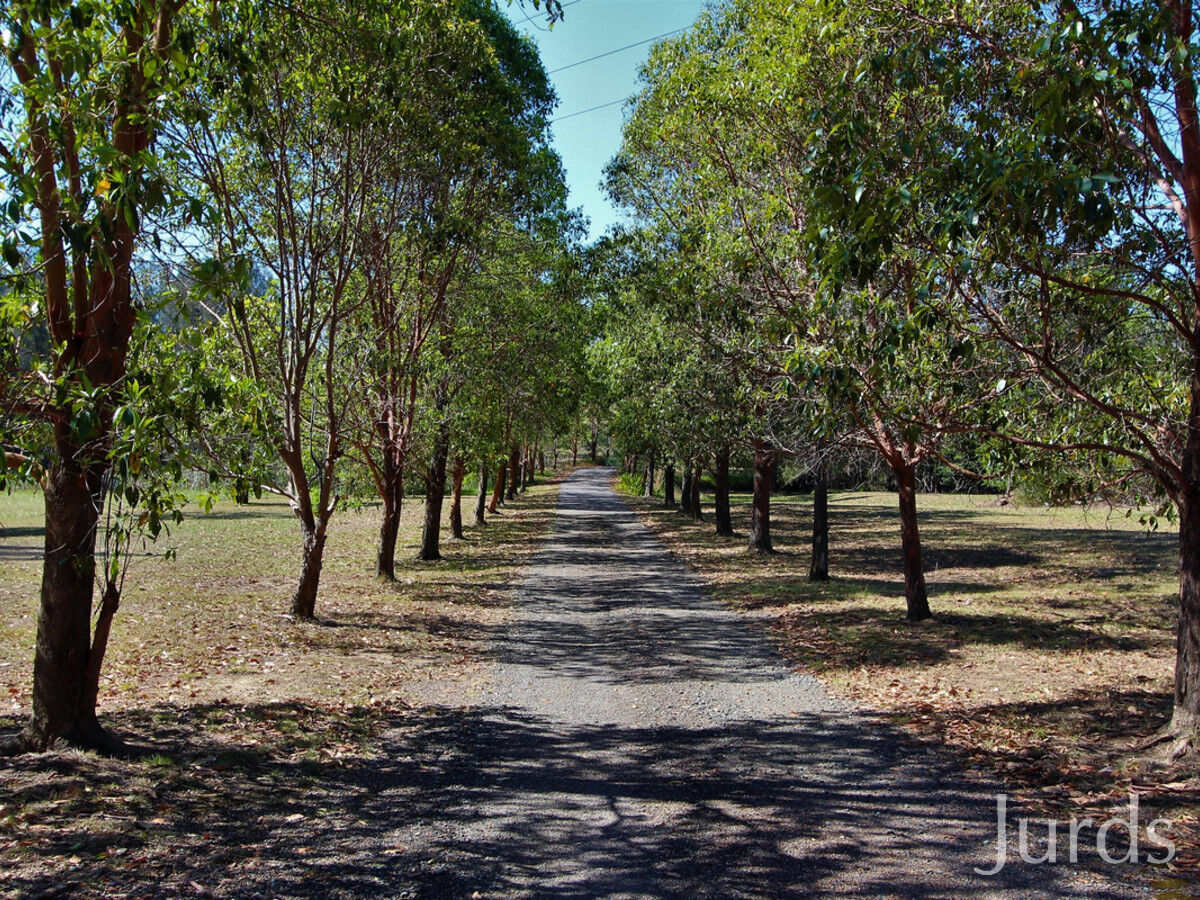 74 Wilderness Road, LOVEDALE, Lovedale - Thumbnail 4