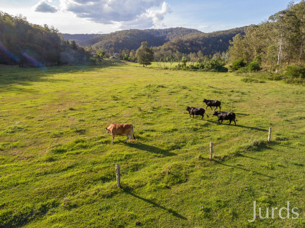 2269 Wollombi Road, Wollombi, Wollombi - Thumbnail 4