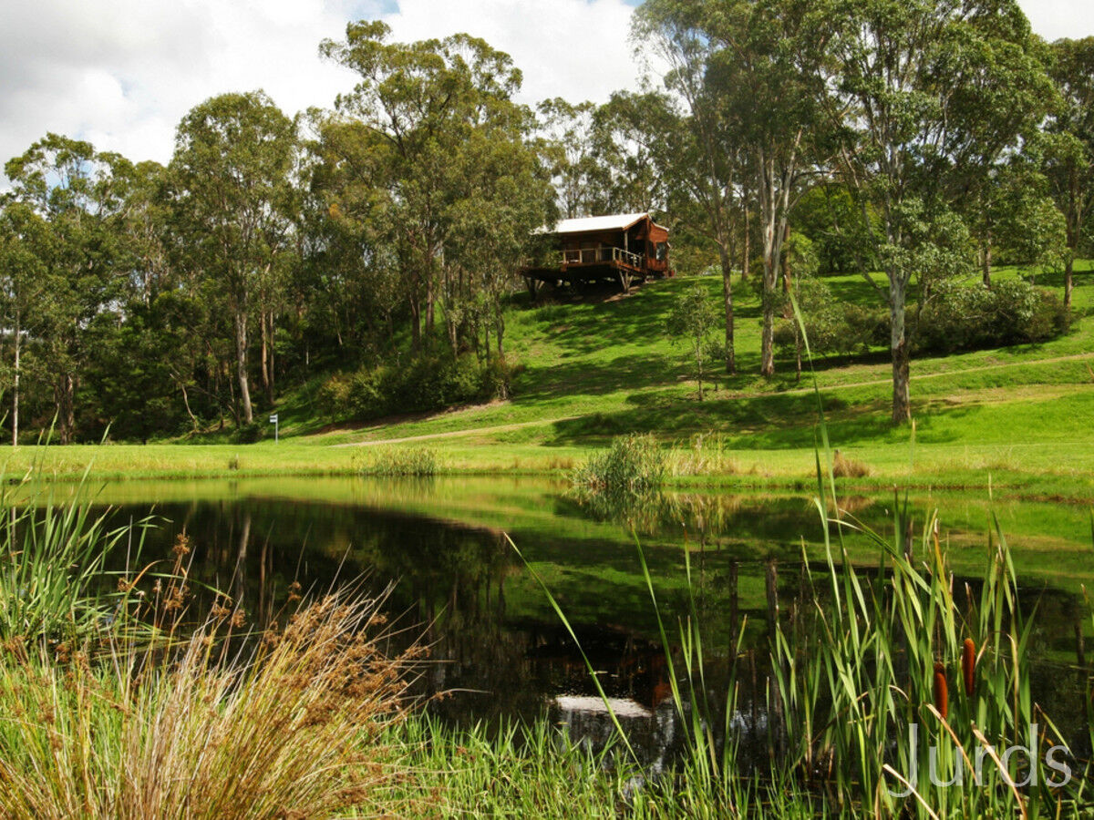 60 Mitchells Road, Mount View, Mount View - Thumbnail 6