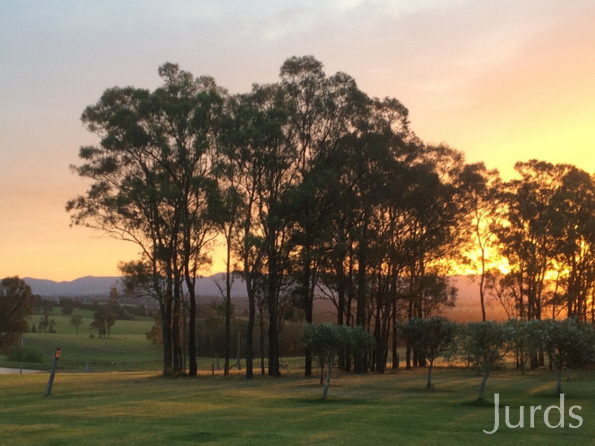 169 Talga Road, LOVEDALE, Lovedale - Thumbnail 5