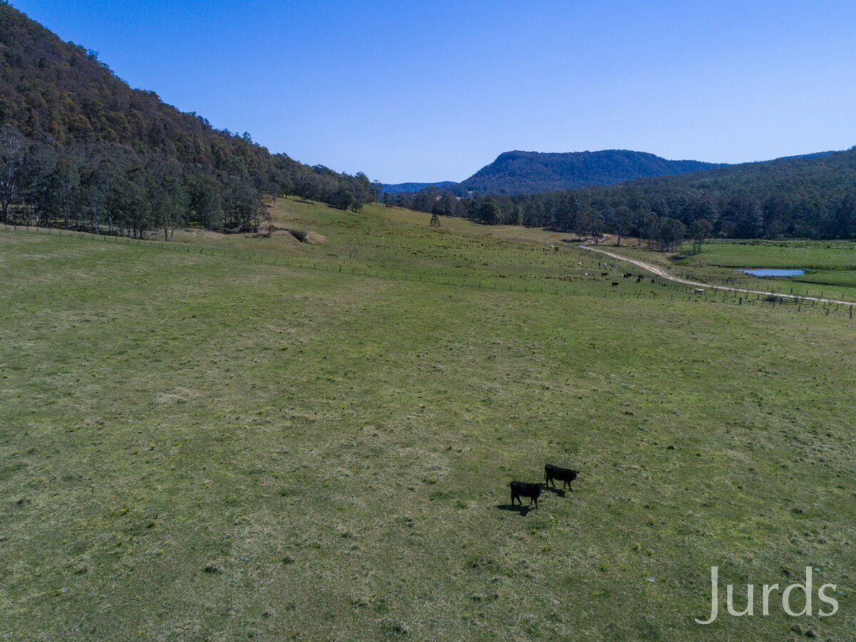 1724 Congewai Road, Congewai, Congewai - Thumbnail 3