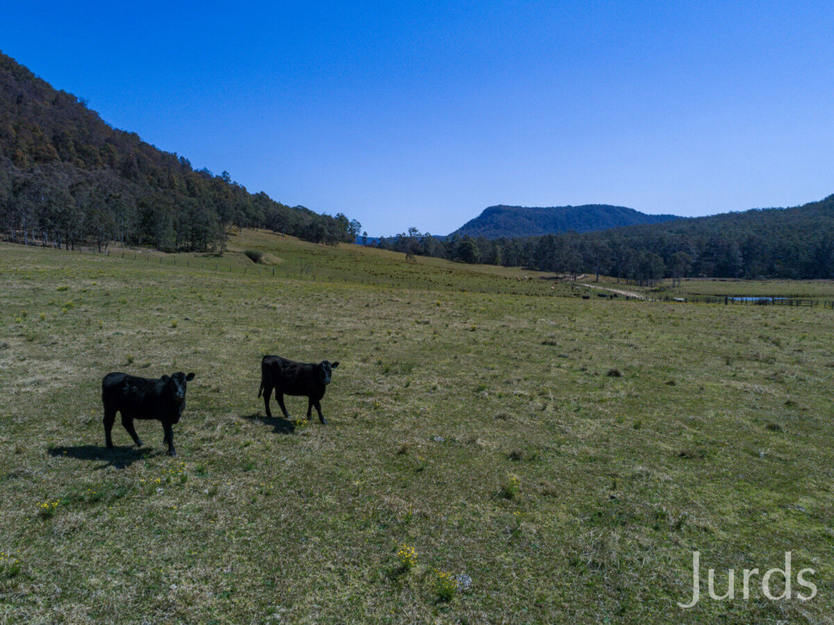 1724 Congewai Road, Congewai, Congewai - Thumbnail 4