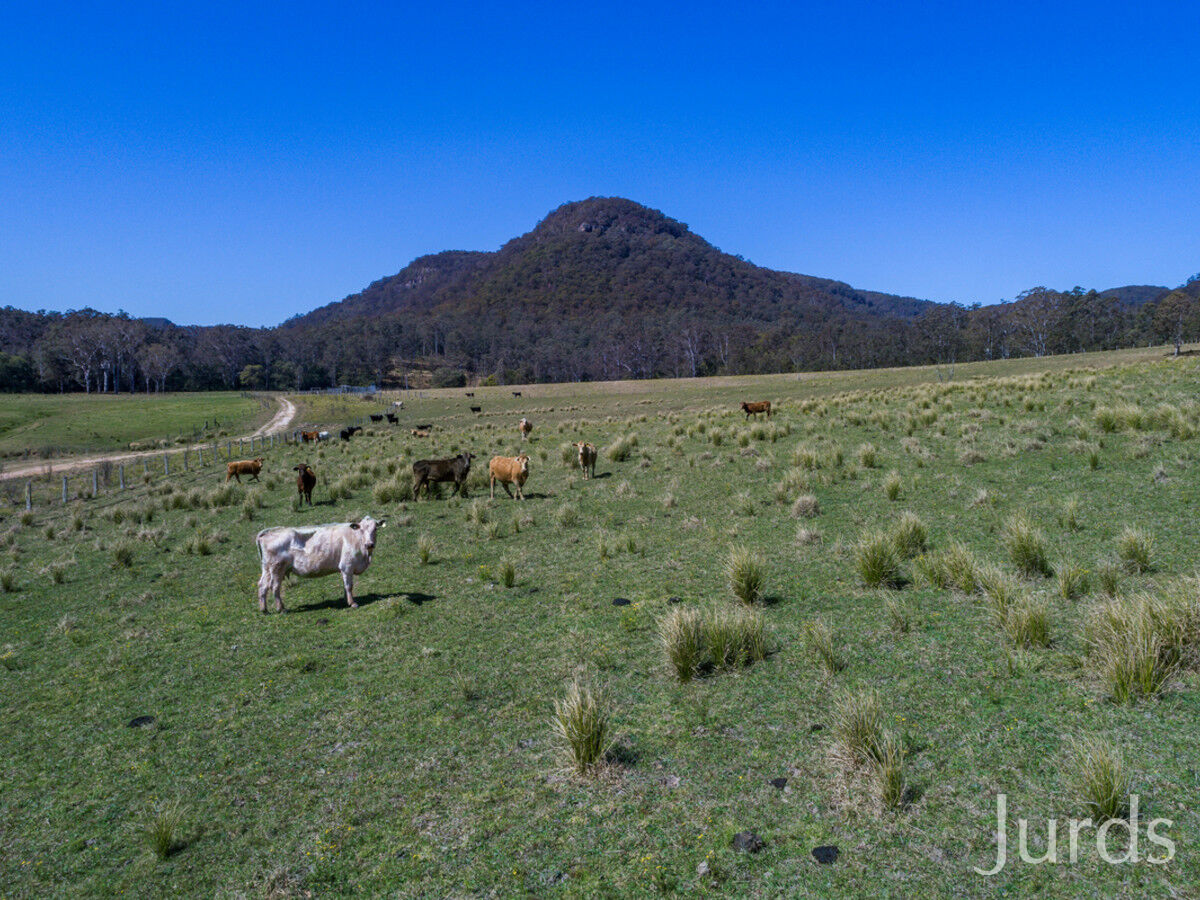 1724 Congewai Road, Congewai, Congewai - Thumbnail 2