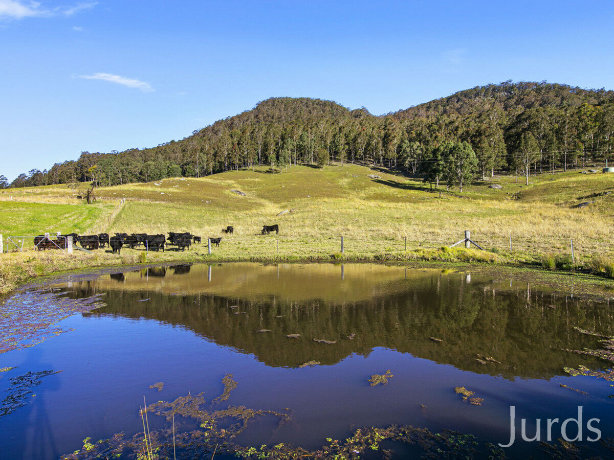 1468 Congewai Road, Congewai, Congewai - Thumbnail 6