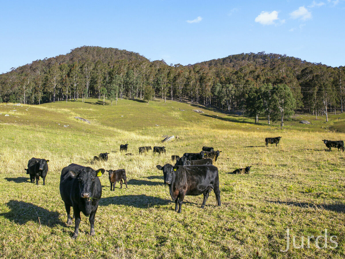 1468 Congewai Road, Congewai, Congewai - Thumbnail 5