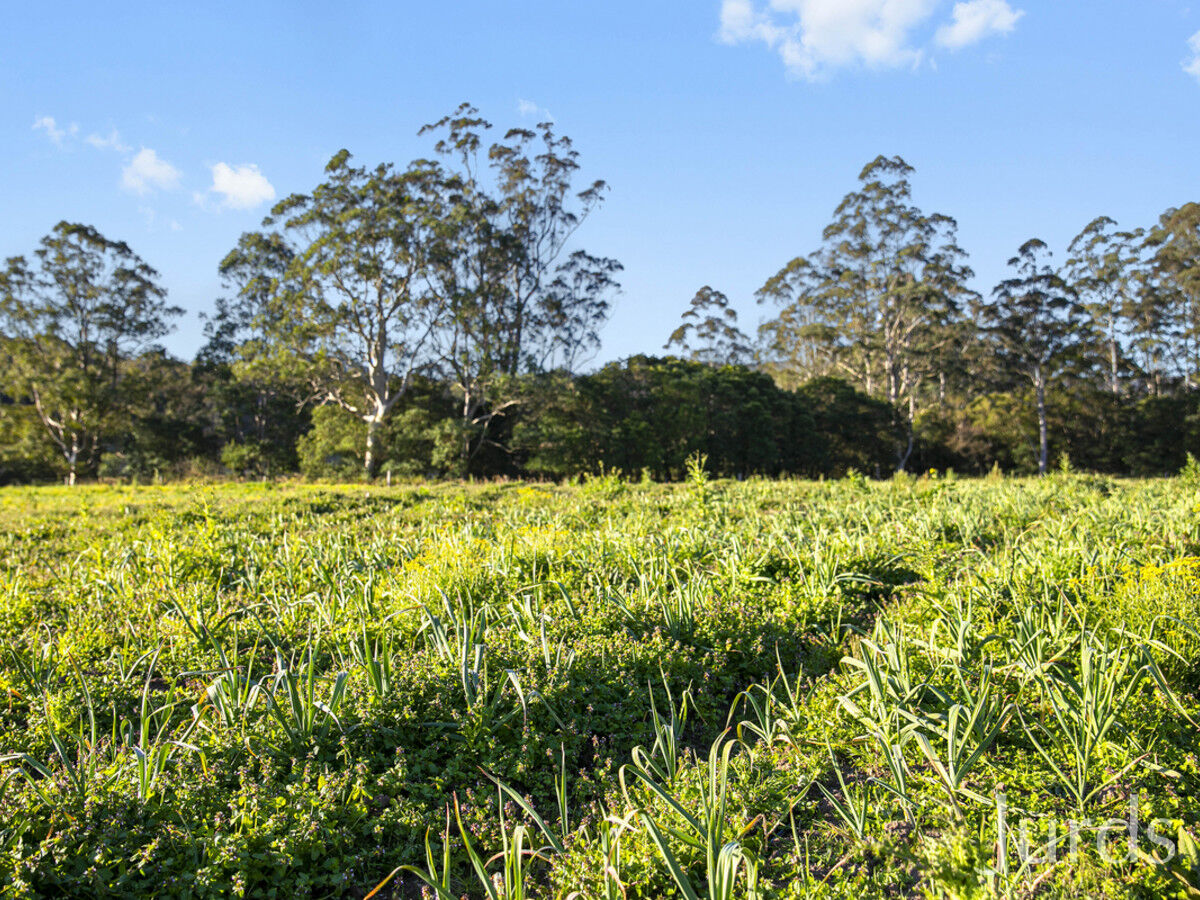 1468 Congewai Road, Congewai, Congewai - Thumbnail 7