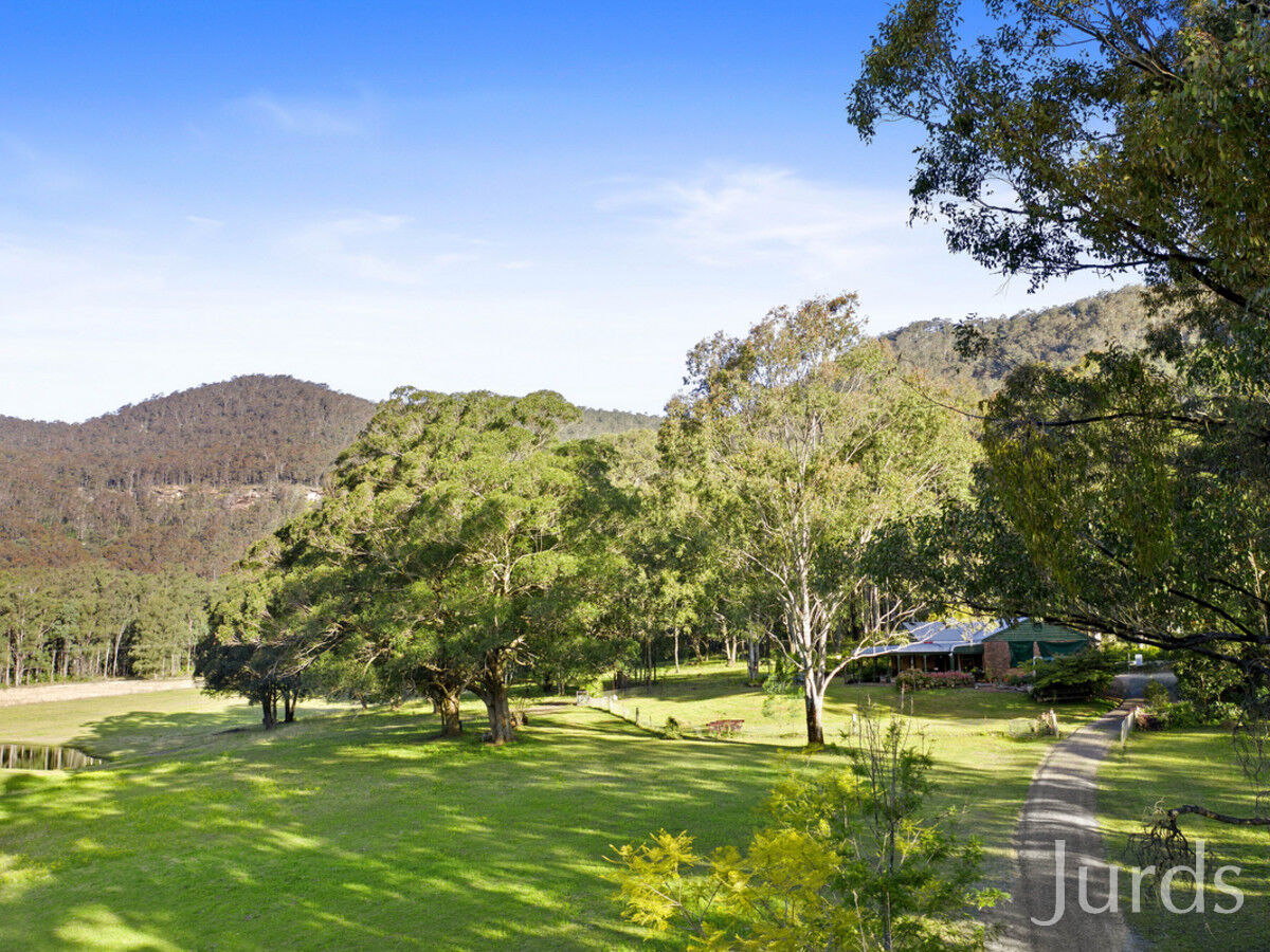 441 Wallaby Gully Road, Ellalong, Ellalong - Thumbnail 4