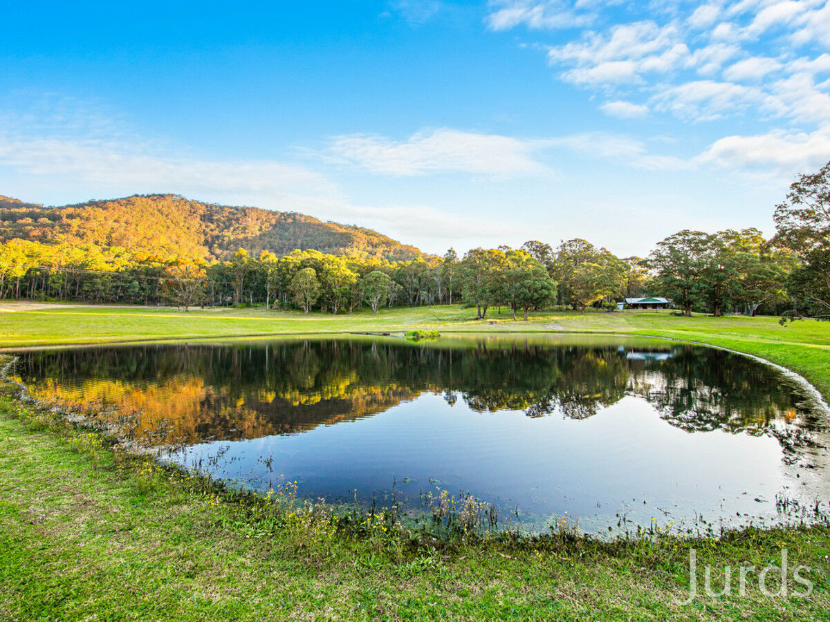 441 Wallaby Gully Road, Ellalong, Ellalong - Thumbnail 3