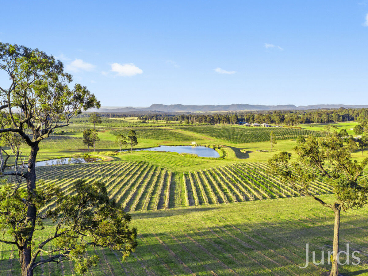 257 Sweetwater Road, Pokolbin, Pokolbin - Thumbnail 3