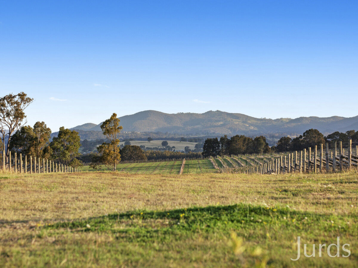 257 Sweetwater Road, Pokolbin, Pokolbin - Thumbnail 7