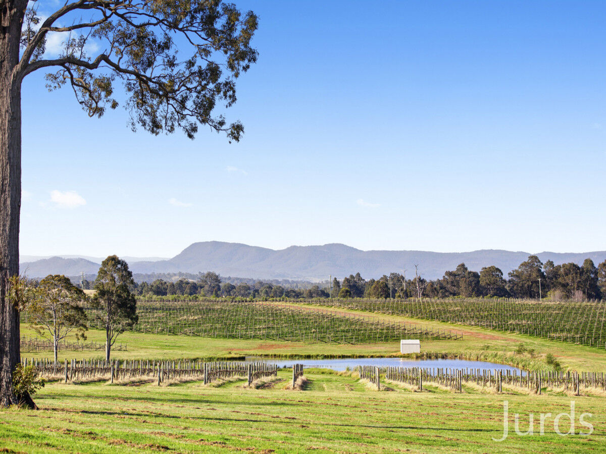 257 Sweetwater Road, Pokolbin, Pokolbin - Thumbnail 8