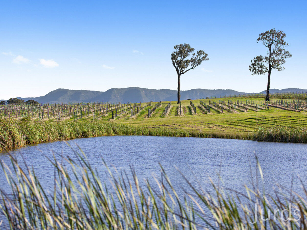 257 Sweetwater Road, Pokolbin, Pokolbin - Thumbnail 6