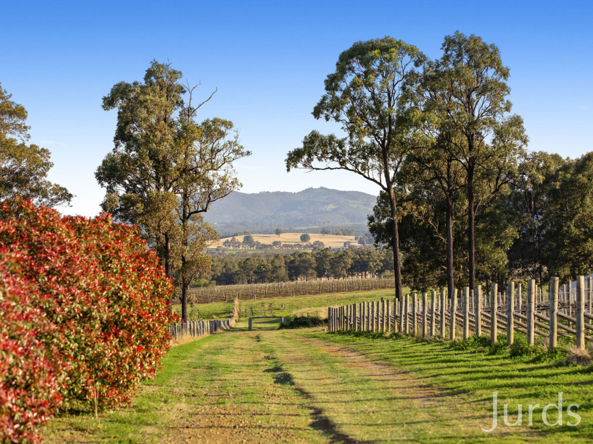 229 Sweetwater Road, Pokolbin, Pokolbin - Thumbnail 7