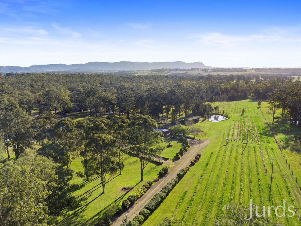 447 Lovedale Road, Lovedale, Lovedale - Thumbnail 2