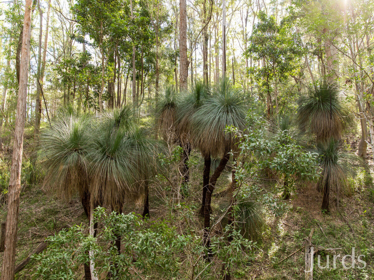 444 Sandy Creek Road, Mount Vincent, Mount Vincent - Thumbnail 8