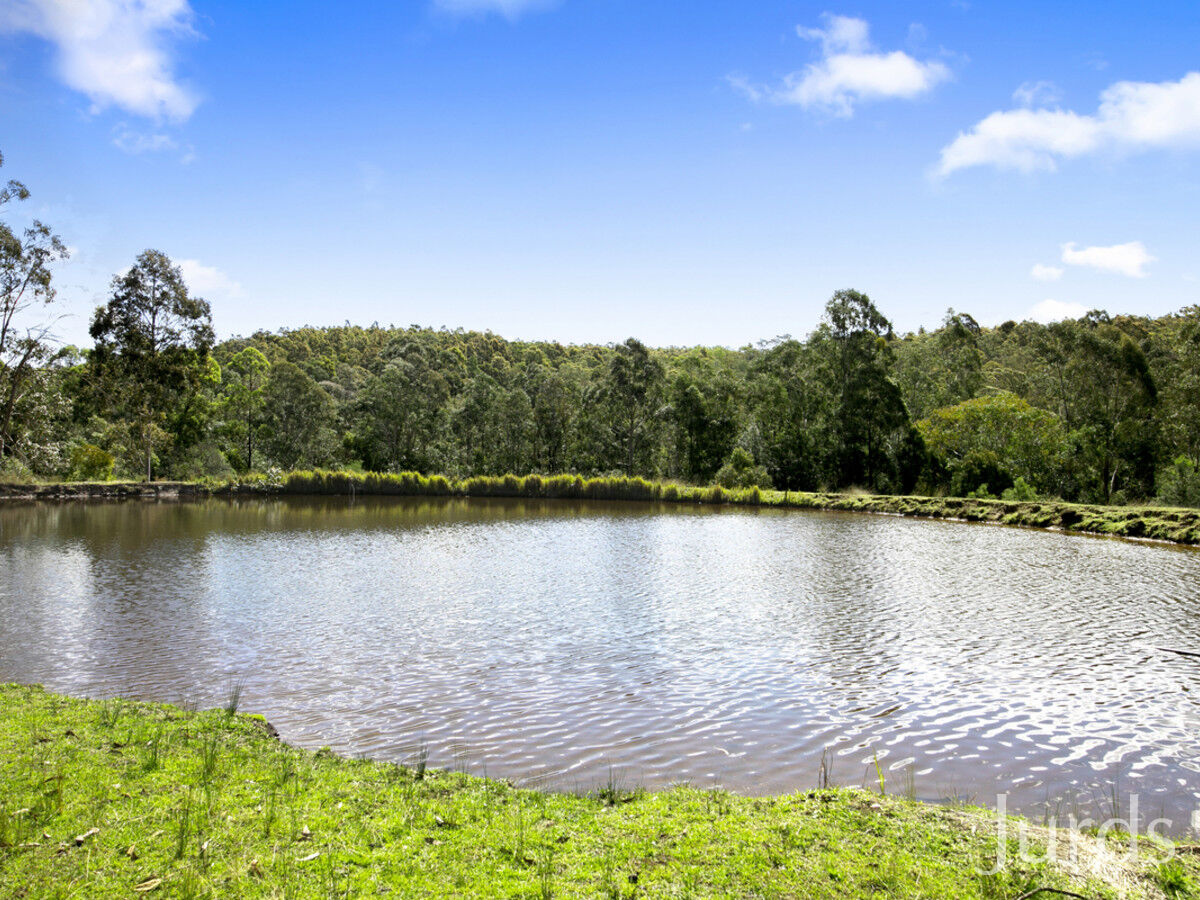 444 Sandy Creek Road, Mount Vincent, Mount Vincent - Thumbnail 5