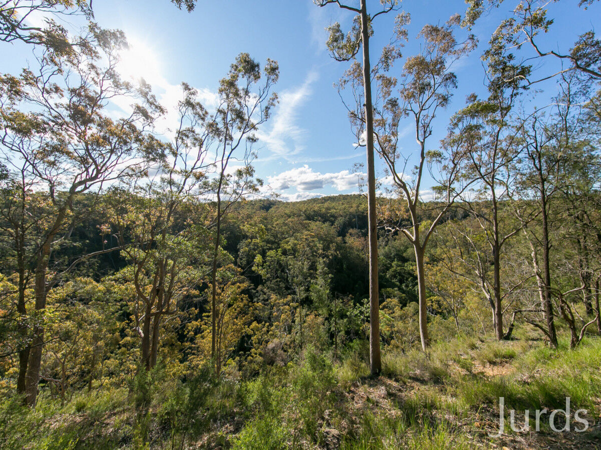 444 Sandy Creek Road, Mount Vincent, Mount Vincent - Thumbnail 2