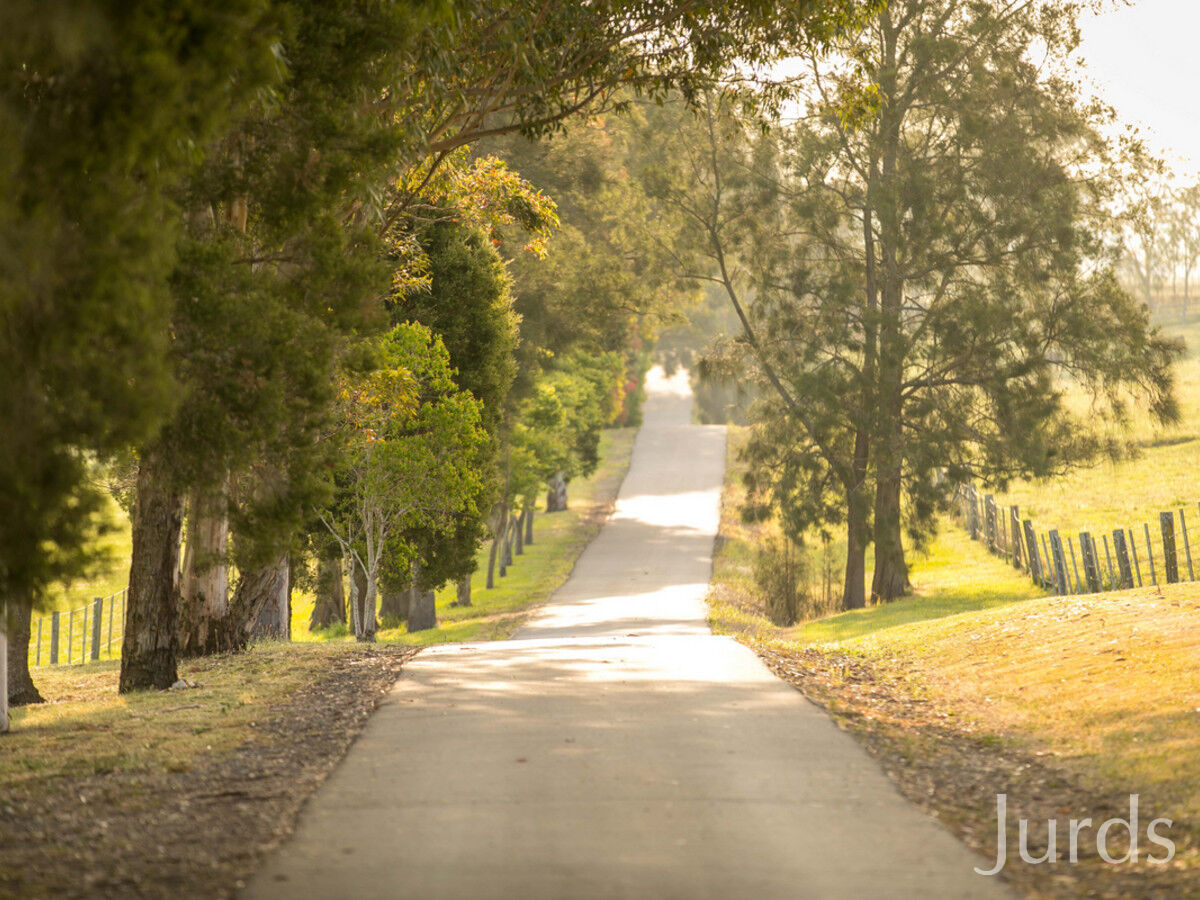 532 Tocal Road, Mindaribba, Mindaribba - Thumbnail 2