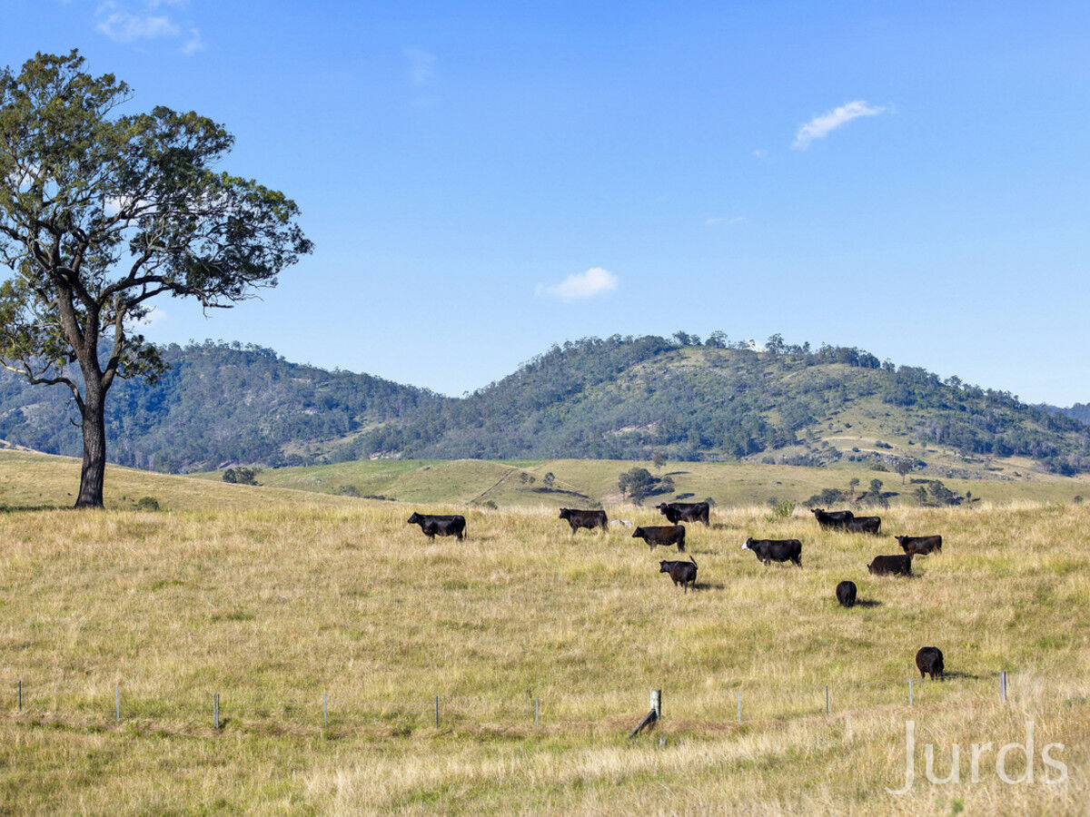 403 Glendonbrook Road, Glendonbrook, Glendon Brook - Thumbnail 4