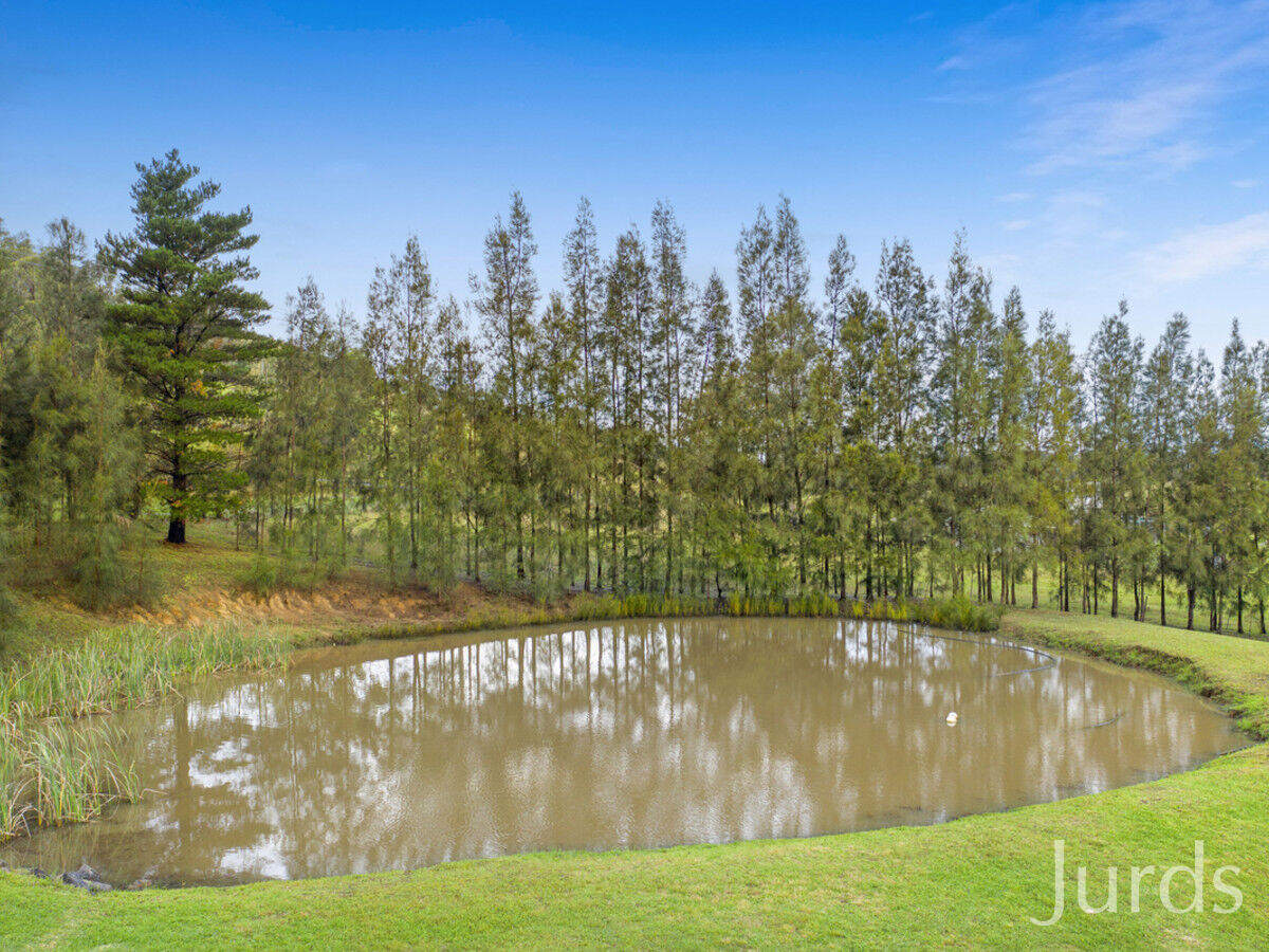 453 Talga Road, Lovedale, Lovedale - Thumbnail 5