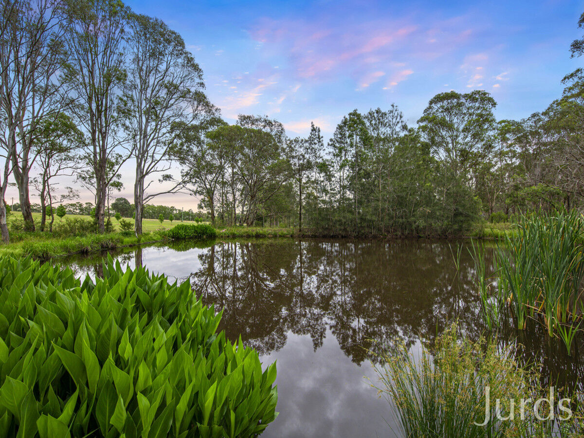 24B The Ballabourneen, Lovedale, Lovedale - Thumbnail 4