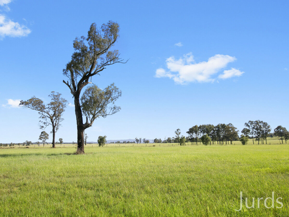 Lot 5 Roughit Lane, Sedgefield, Sedgefield - Thumbnail 2