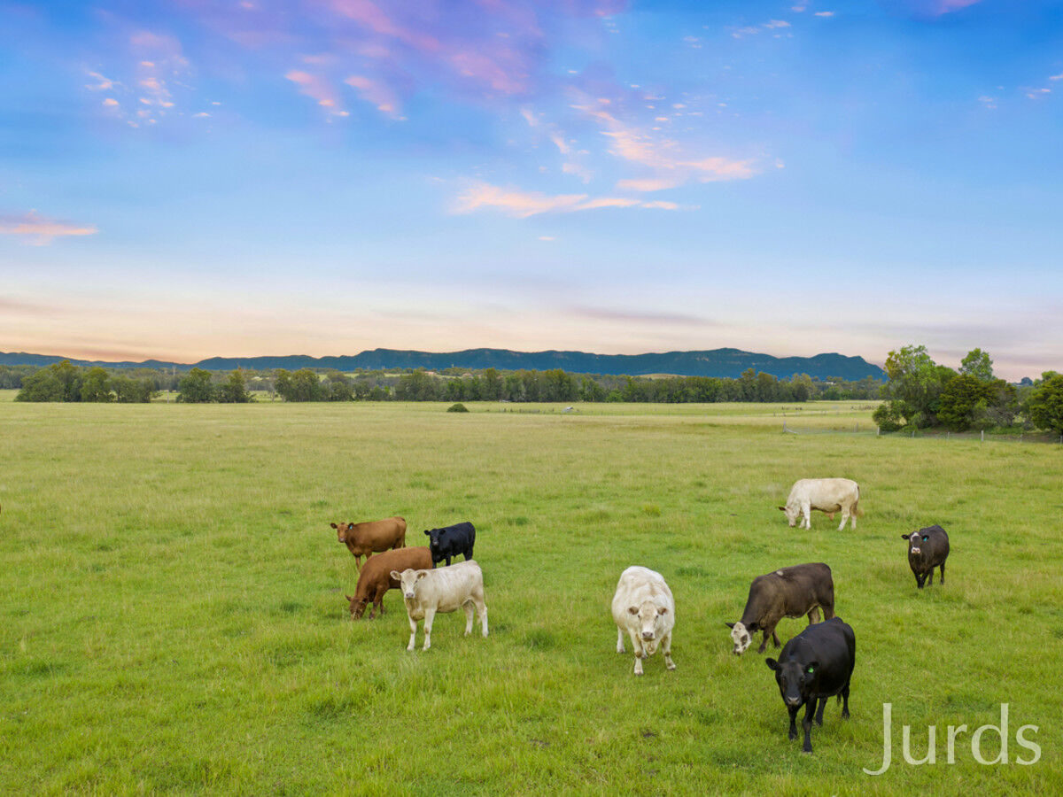 437 Talga Road, Lovedale, Lovedale - Thumbnail 5
