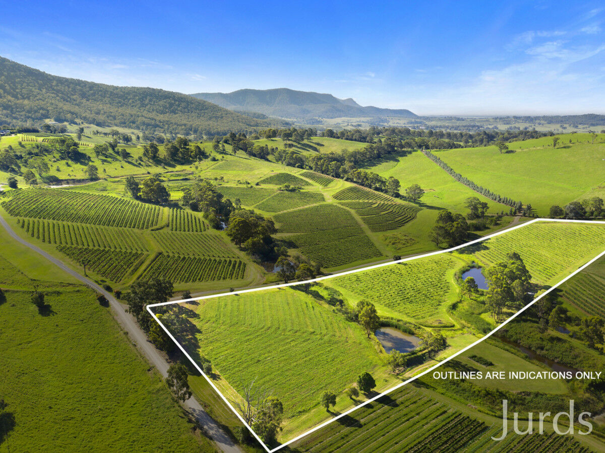 593 Mount View Road, Mount View, Mount View - Thumbnail 3