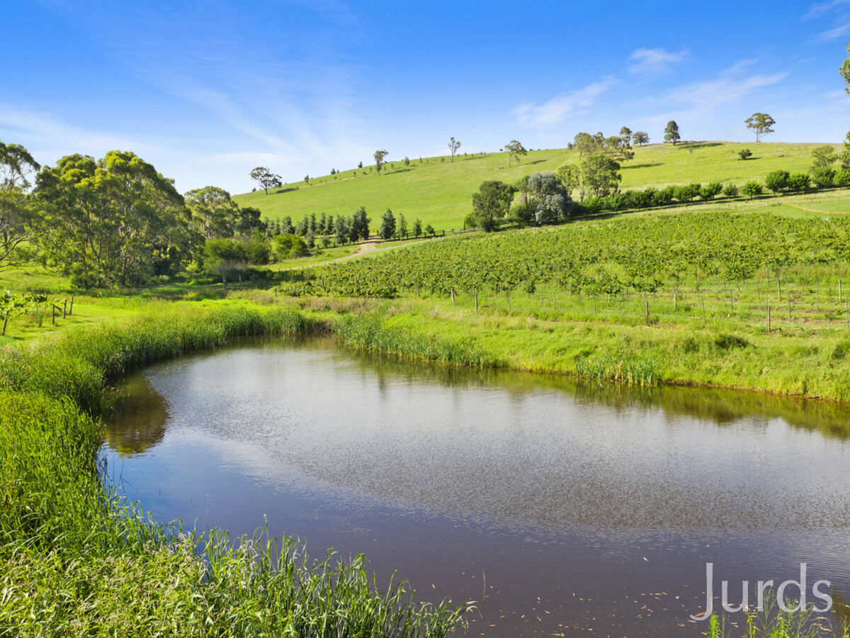 593 Mount View Road, Mount View, Mount View - Thumbnail 8
