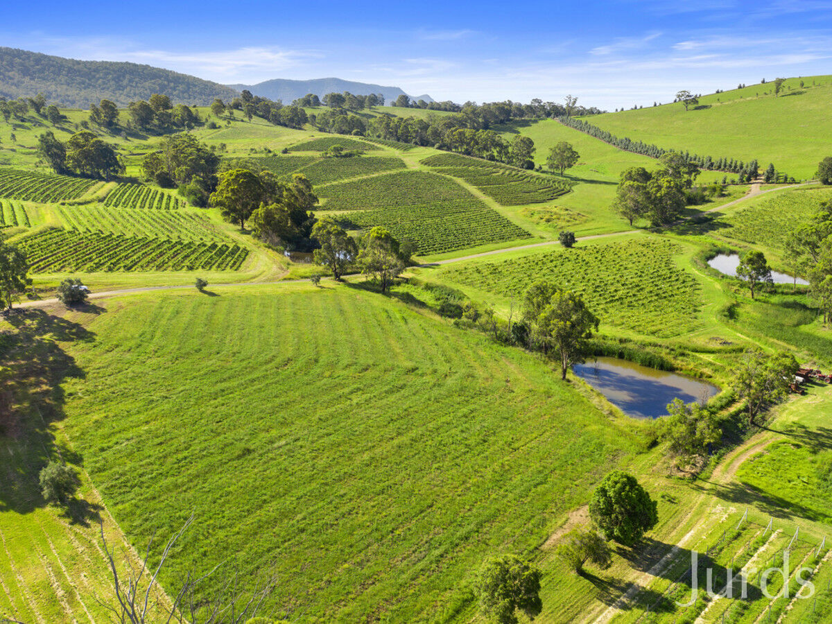 593 Mount View Road, Mount View, Mount View - Thumbnail 4