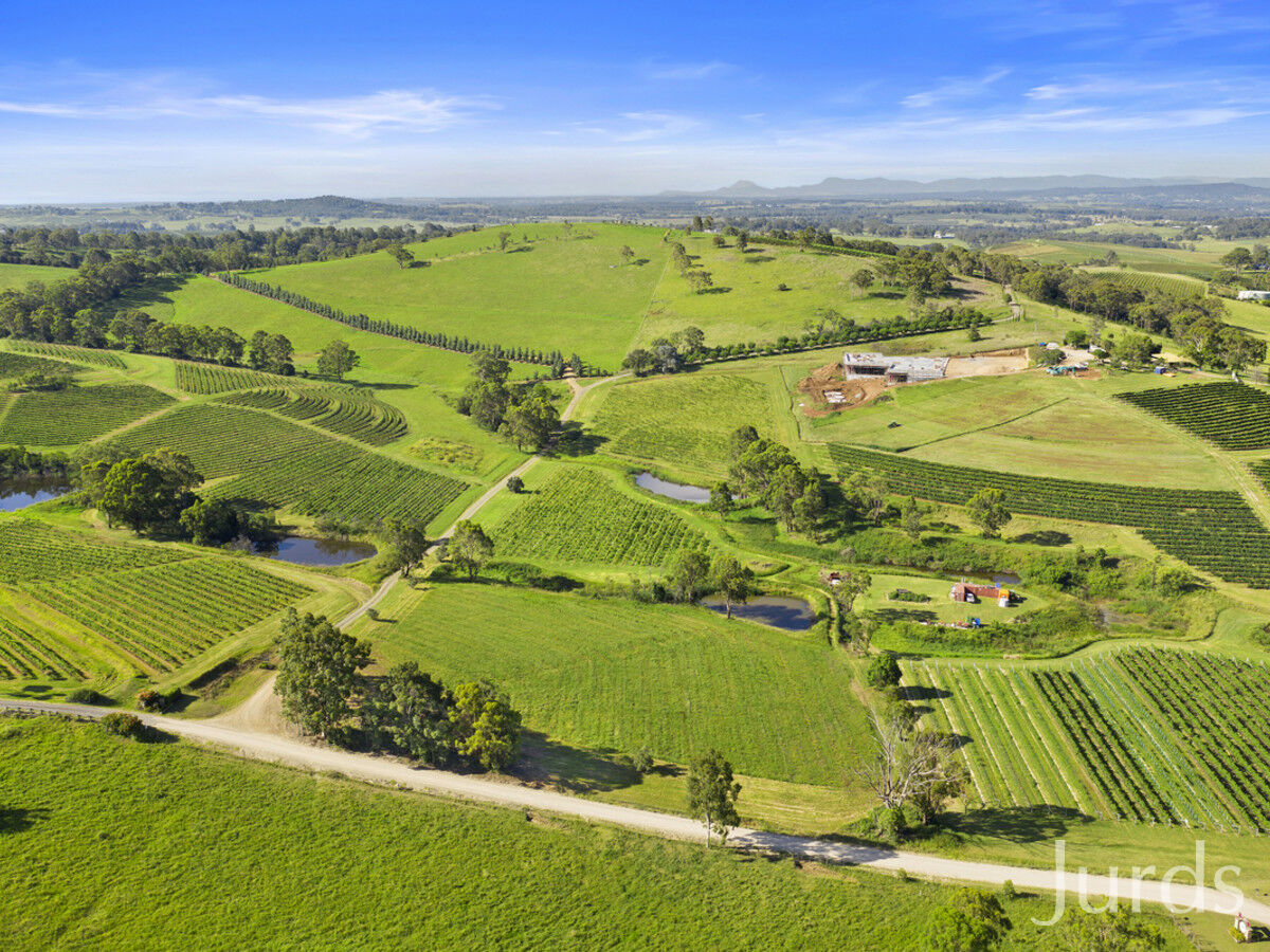 593 Mount View Road, Mount View, Mount View - Thumbnail 5