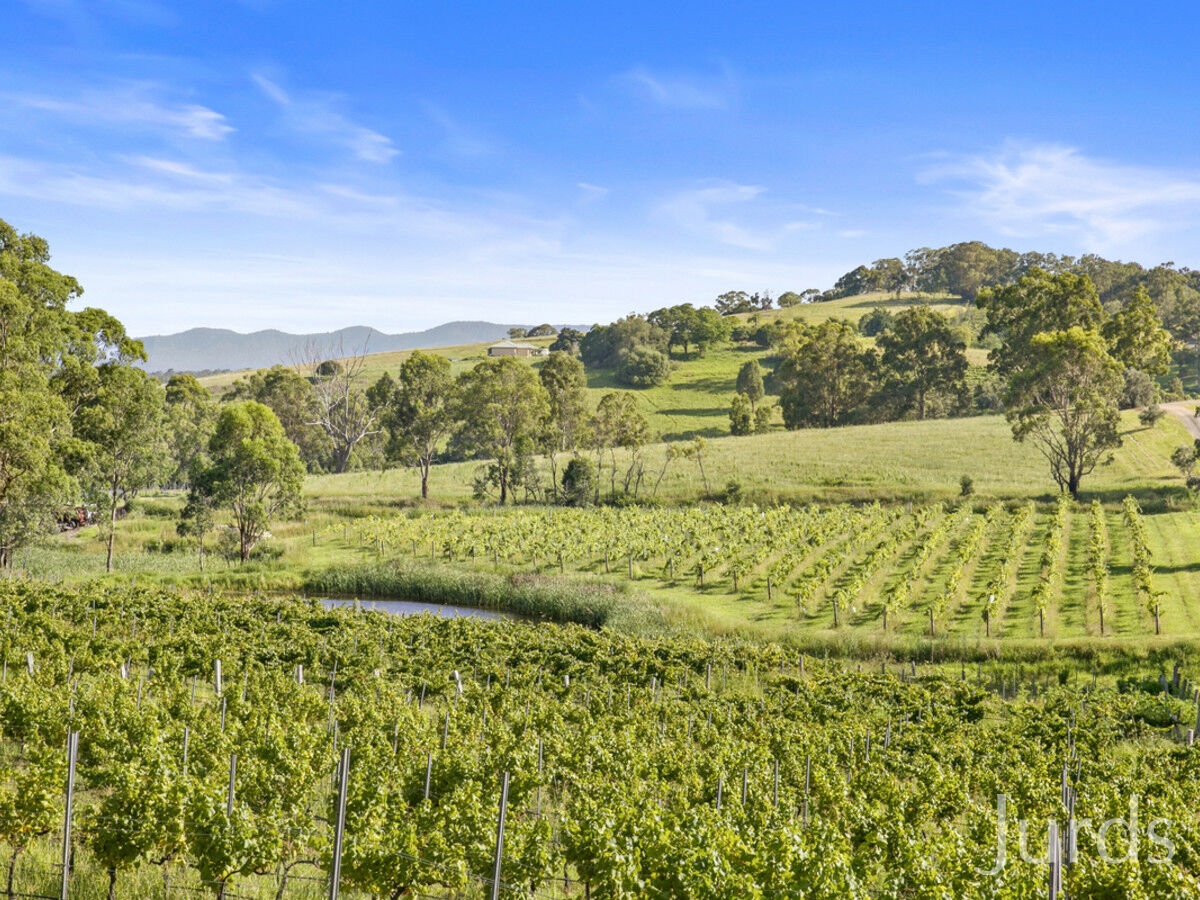 593 Mount View Road, Mount View, Mount View - Thumbnail 7