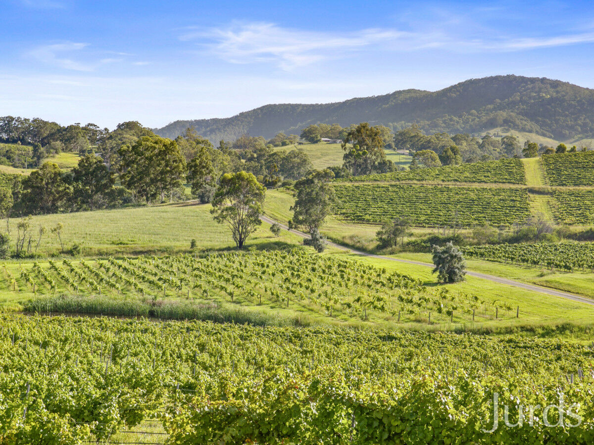 593 Mount View Road, Mount View, Mount View - Thumbnail 2