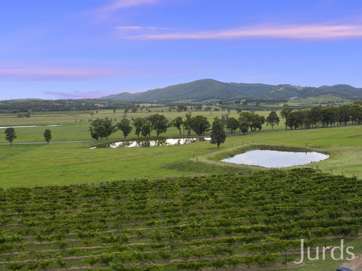 536 De Beyer's Road, Pokolbin, Pokolbin - Thumbnail 4