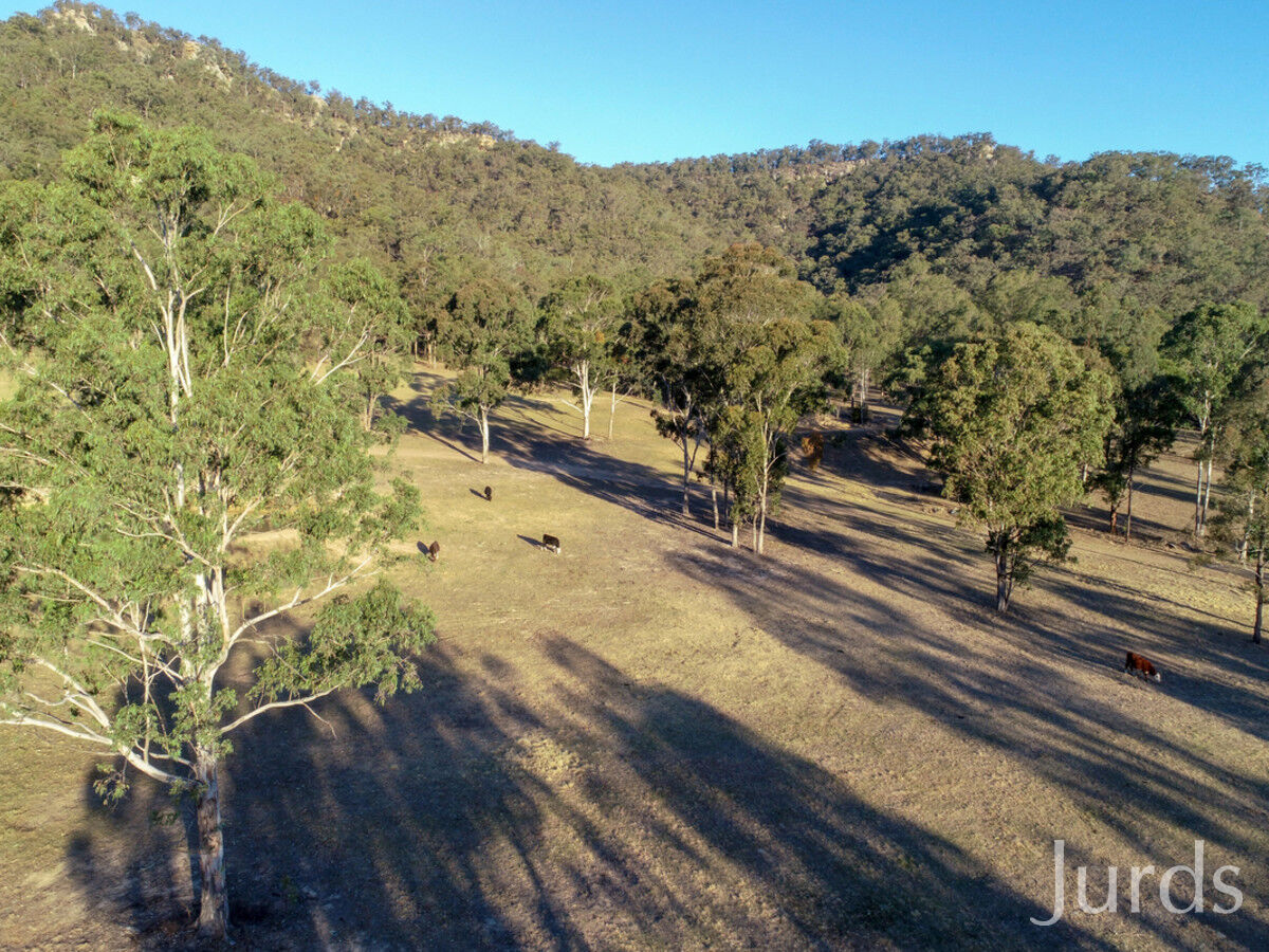 1087 Wollombi Road, Broke, Broke - Thumbnail 6