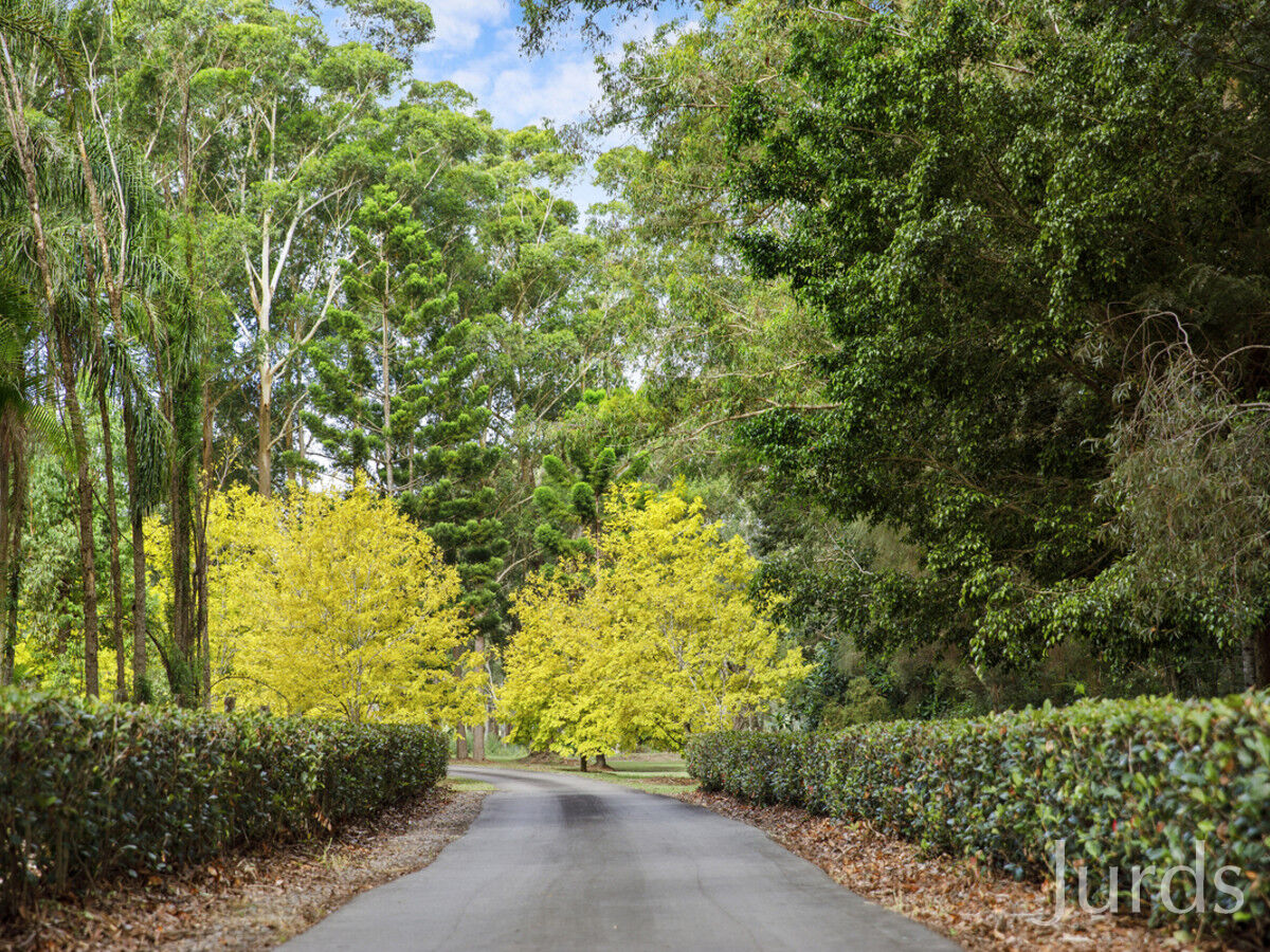 6 Elouera Close, Brandy Hill, Brandy Hill - Thumbnail 4