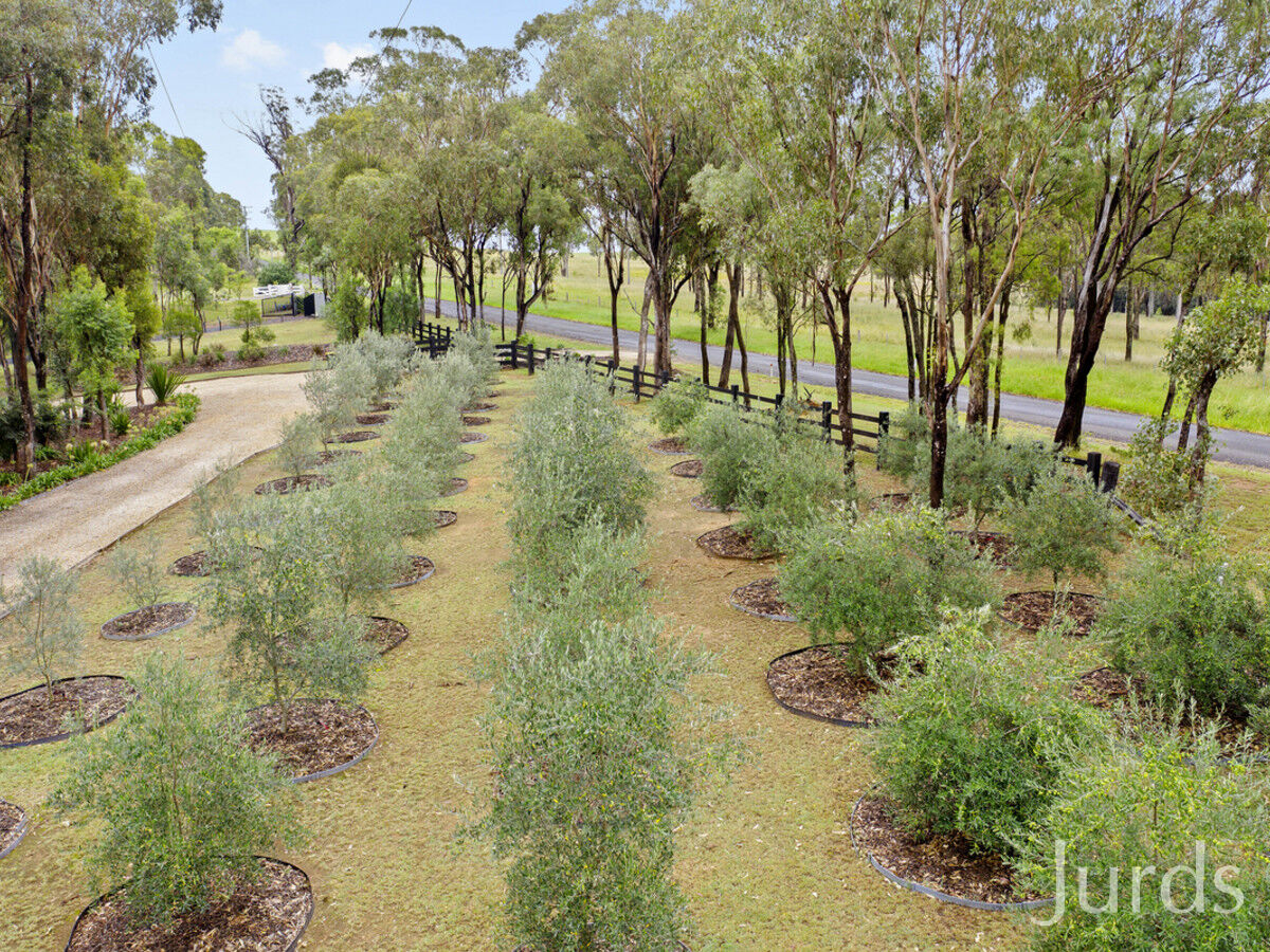 280 Old North Road, Pokolbin, Pokolbin - Thumbnail 6