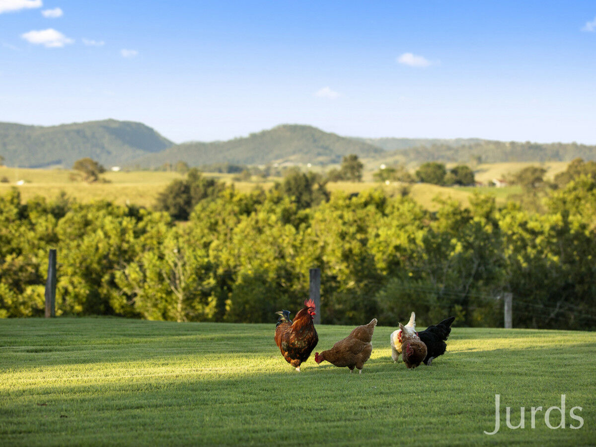 458F Elderslie Road, Branxton, Branxton - Thumbnail 2
