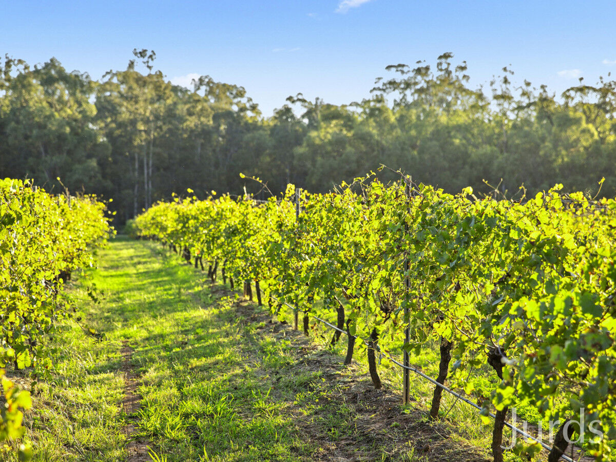 820 Hermitage Road, Pokolbin, Pokolbin - Thumbnail 2