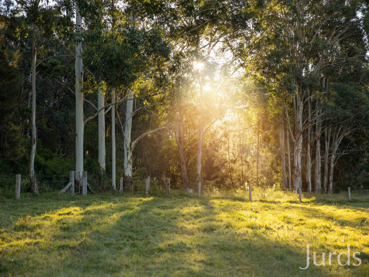 1650 Wollombi Road, Millfield, Millfield - Thumbnail 2