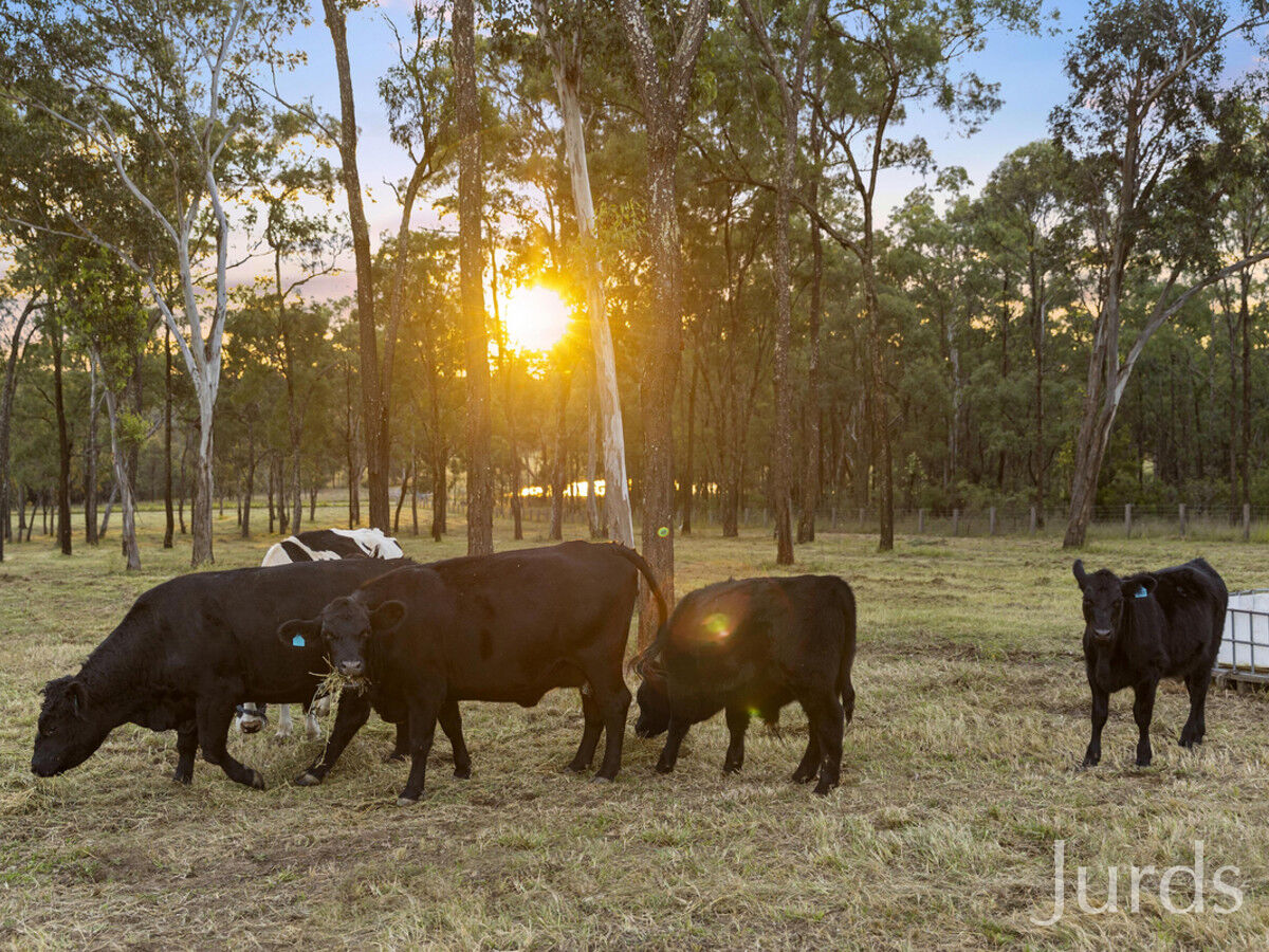 121 Kelman Street, Lower Belford, Lower Belford - Thumbnail 2