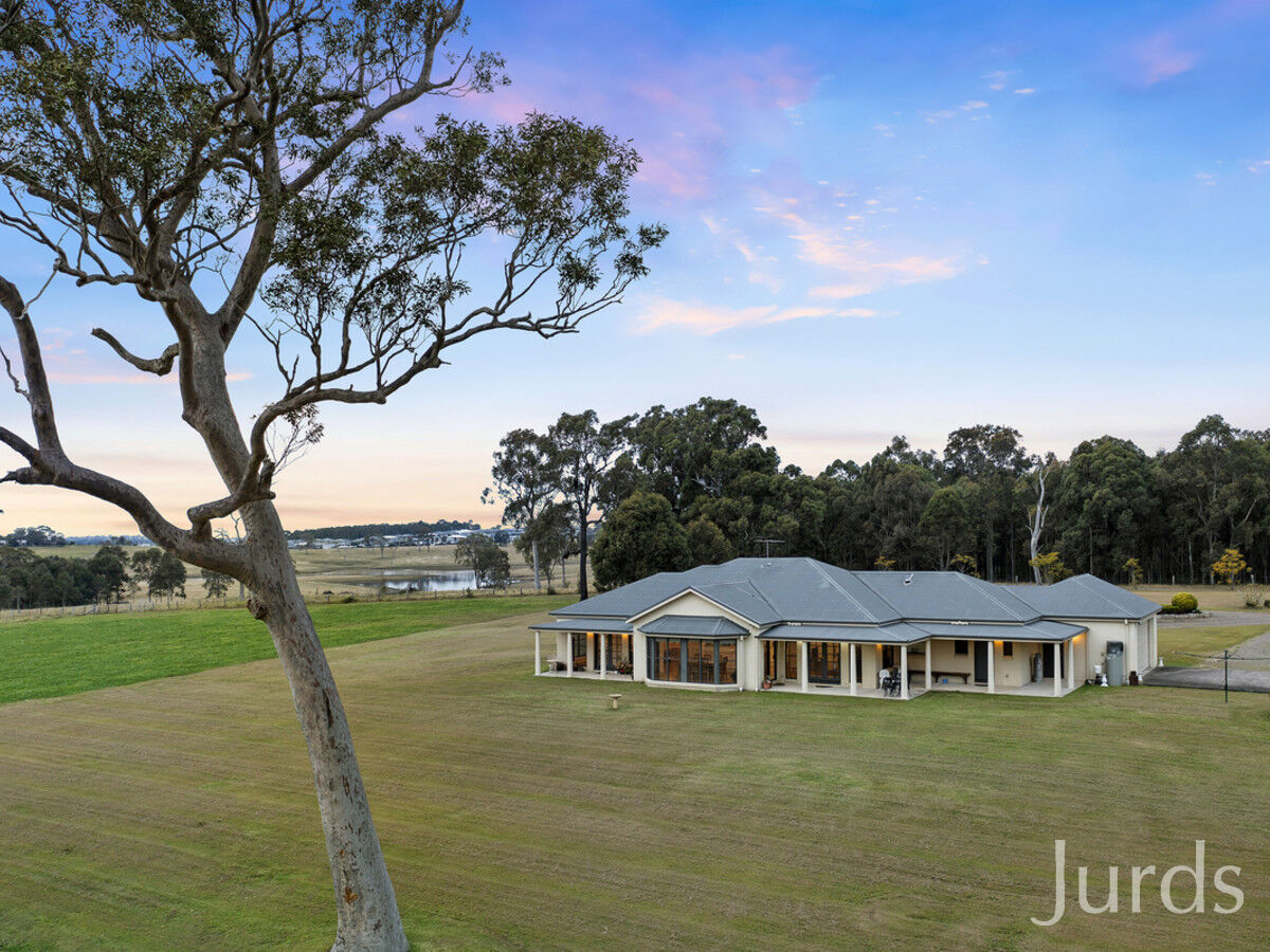 252 Tocal Road, Bolwarra Heights, Bolwarra Heights - Thumbnail 6