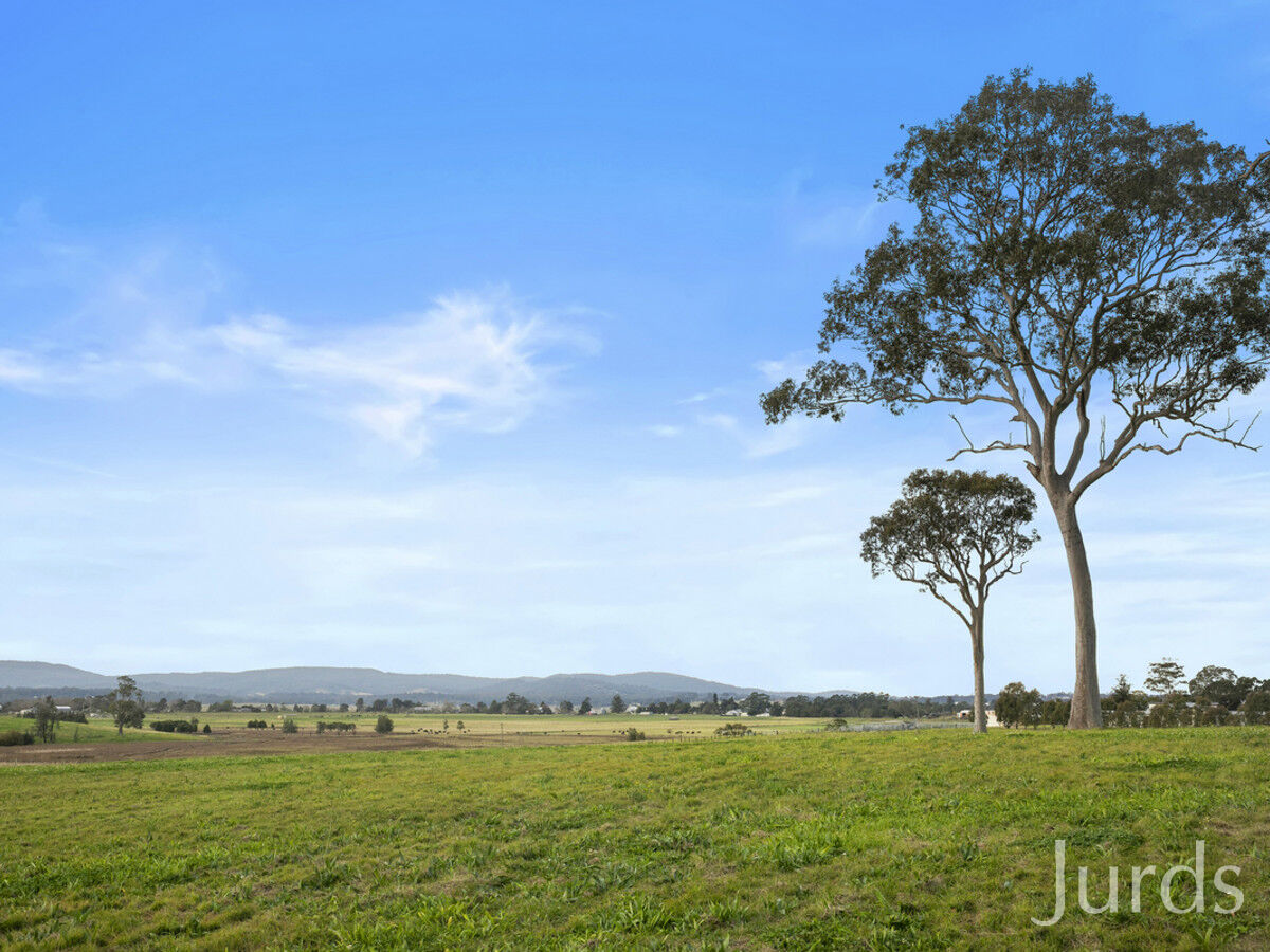 252 Tocal Road, Bolwarra Heights, Bolwarra Heights - Thumbnail 7
